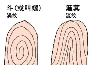 手指上的斗和簸箕代表什么